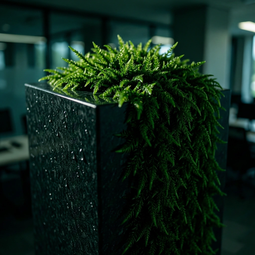 Moss